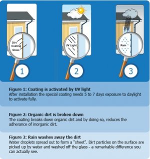 Self-cleaning Glasses